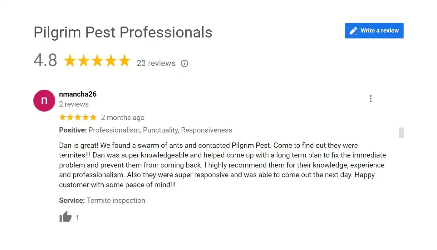 Pilgrim Pest Professionals offers Pest Control & Wildlife Removal services to residents and businesses in Kingston, MA