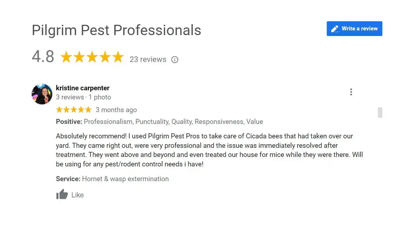 Pilgrim Pest Professionals of New Bedford is a Norton, MA Pest Control & Wildlife Removal company